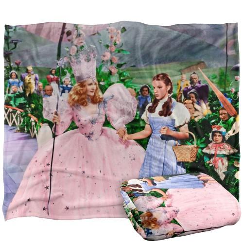 The Wizard Of Oz Scene Dorothy Blanket