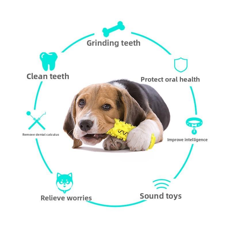 Tpr Quietschie Hundespielzeug mit Kauspielzeug für Welpen Zahnpflege