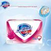 Safeguard Aloe Vera Care Soap, 100g 3-Pack