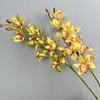 Real Touch Simulation Cymbidiums 11 Heads Fake Flowers  Photography Studio