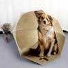 Perro con patrón de Hueso, paraguas de plegado automático, diseño portátil y plegable, 8 varillas, un regalo de Navidad o cumpleaños.