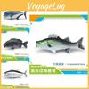 Modelos Detalhados de Peixes Oceânicos em PVC Apresentando Atum Pargo Robalo Salmão e Truta