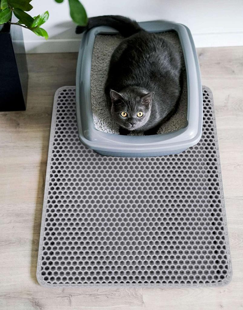 Catsy Doormat, 40X50 Cm, Gray