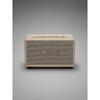 Marshall ACTON III Wireless Bluetooth Speaker