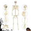 Halloween Skeleton Decorations Movable Halloween Large Skeleton Figurines Outdoor Holiday Decorations For Standing Bathing