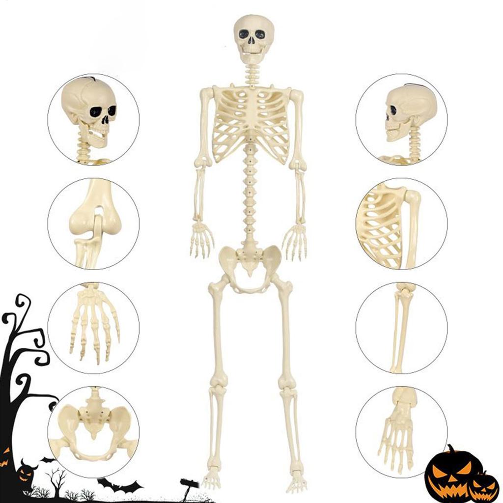 Halloween Skeleton Decorations Movable Halloween Large Skeleton Figurines Outdoor Holiday Decorations For Standing Bathing