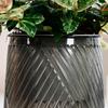 Self Watering Pots for Indoor Plants Small Plastic Planter Modern Wicking Flower Pot with Wick Rope And Reservoir for Violets Ocean