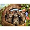Flower DIY 5D Diamond Painting Full Round Drill Cat Diamond Embroidery Animal Cross Stitch Mosaic Rhinestones Art Handwork Gift