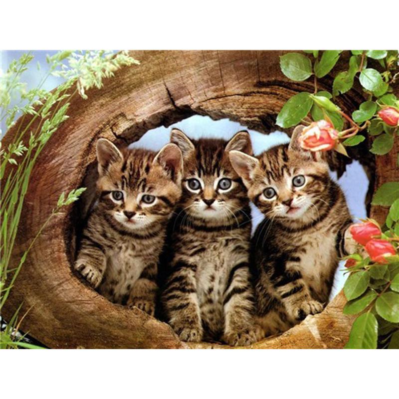 Flower DIY 5D Diamond Painting Full Round Drill Cat Diamond Embroidery Animal Cross Stitch Mosaic Rhinestones Art Handwork Gift