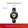 Huawei Смарт-годинник Watch GT 6 (версія CN)