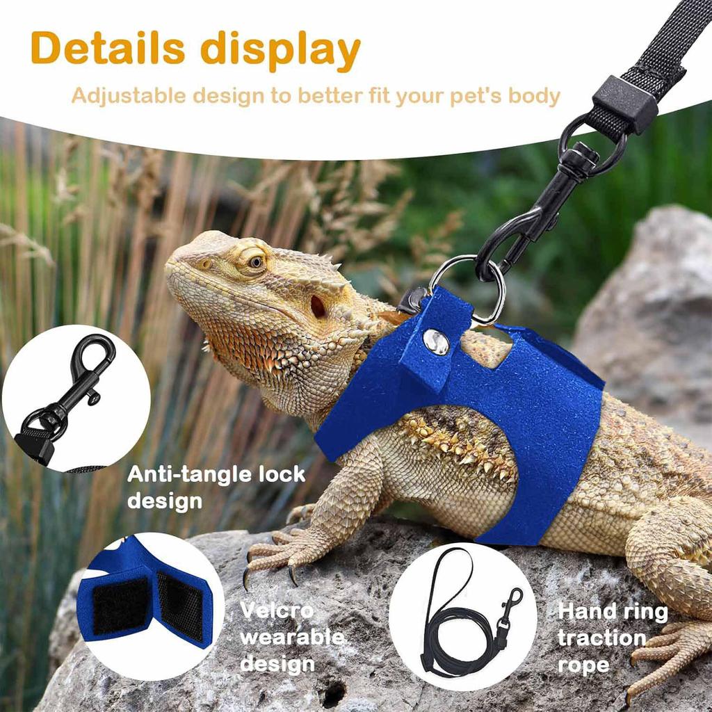 Bearded Dragon Adjustable Leather Harness & Leash Set
