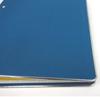 KOKUYO File Cloth B5 Gold 26 200 Sheet Binder, Covered, Size, Vertical, Edge, Holes, Capacity, Blue, Ha-120BZ