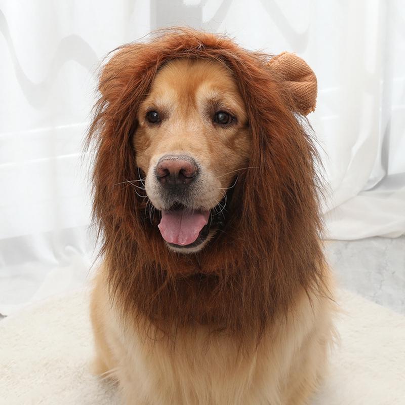 Halloween Lion Mane Dog Wig Hat for Dogs and Cat Small Large Dogs Pet Cat Decor Accessories Lion Wig Fancy Hair Cap Pet Supplies