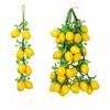 1PC Fake Fruits Simulation Fruit Lemon String Foam Hanging Decoration  DIY Decoration