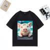 Funny Cute Pig By The Sea NEW Graphics T Shirts Men Women's Summer Fashion Tops T Shirt Cotton Short Sleeve Casual Streetwear