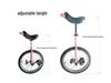 Haolong Acrobatic Unicycle for Children & Adults - Single-Wheel Balance Bike