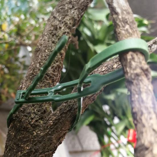 100 Pcs Reusable Plant Ties Adjustable Plant Twist Ties Self-locking Cable Ties for Indoor Outdoor Climbing Plants Cables Organization