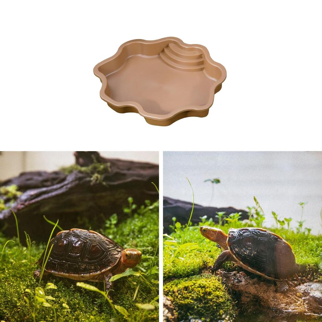 Reptile Dish Set for Small Pets