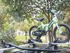 Universal Car Roof Bike Rack Crossbars for SUV/Sedan