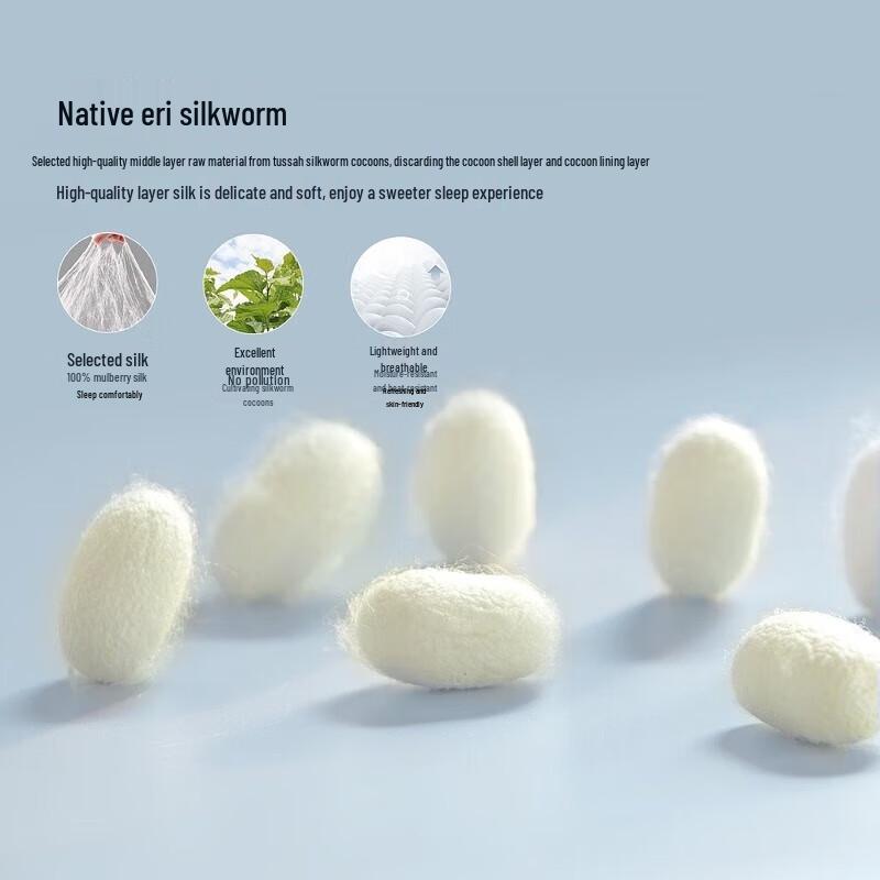 Mercury Home Textiles Flower Window Embroidered Tussah Silk Quilt