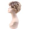 Ladies' Fashionable Brown Gradient Light Gold Partial Short Curly Hair Wig