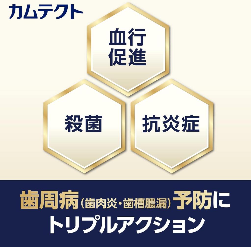 [2 pieces] Camtect Premium Gum Care Toothpaste 105g x 2 pieces