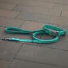 Hexa City Dog Leash, Width , M, /Phthalo