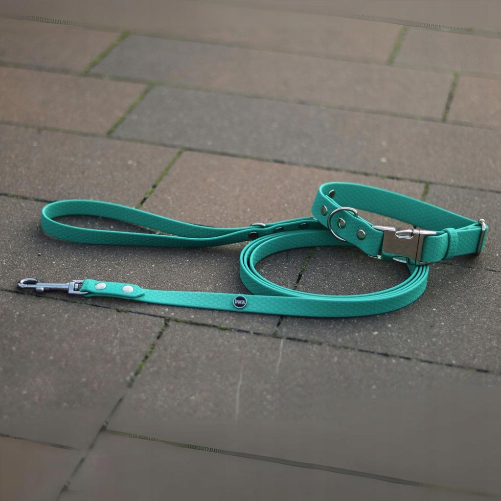 Hexa City Dog Leash, Width , M, /Phthalo