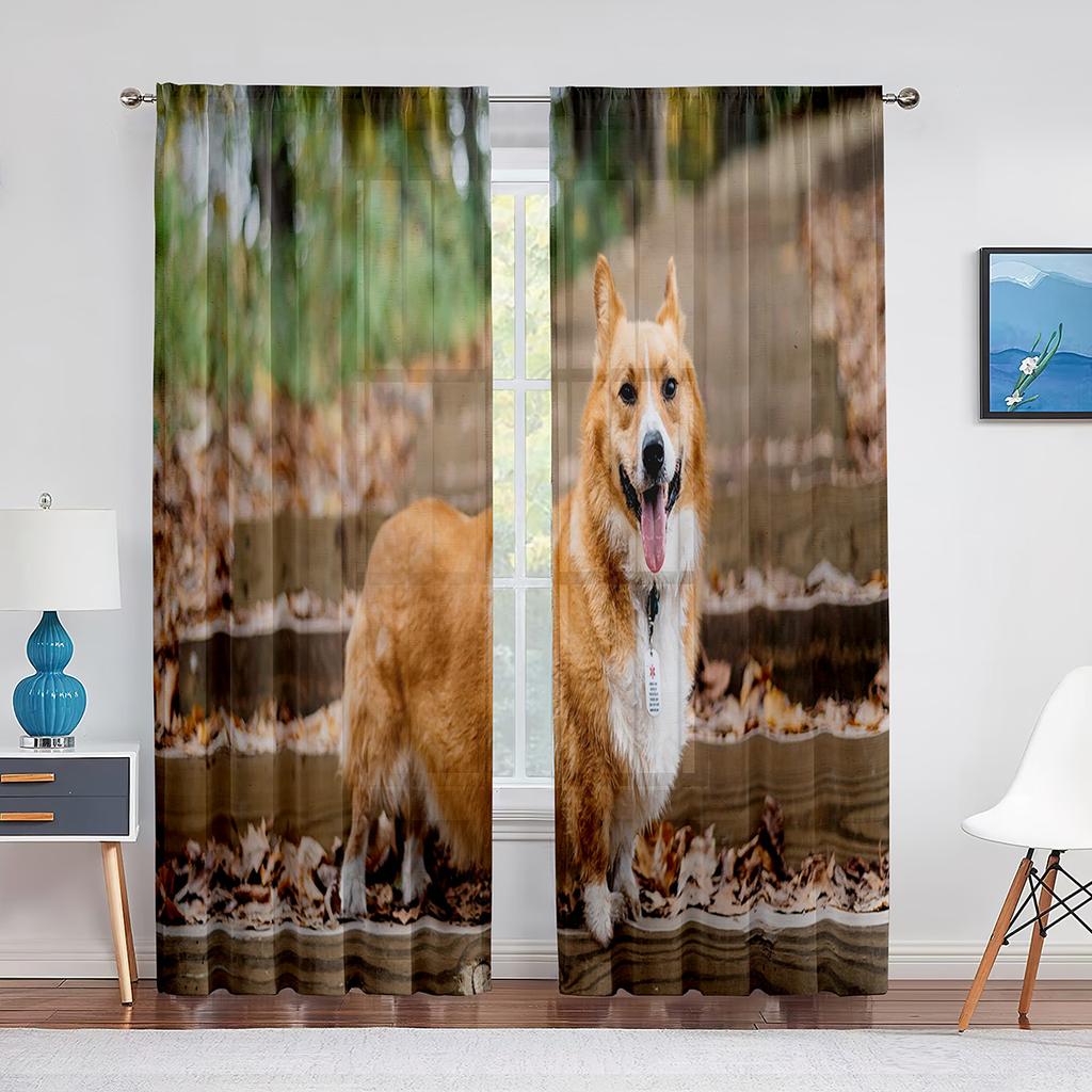 Corgi In The Flower Field Puppy Dog Sheer Curtains Window Treatment for Kitchen Living Room Bedroom Decor Modern Tulle Curtains
