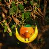 Fruit Swing Model Vase Ornaments Creative Promote Healthy Growth Planter for Home Apartment Office Bedroom Study Decor