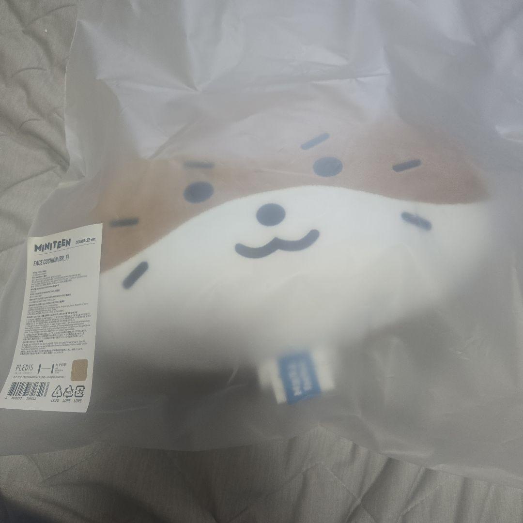 

[USED] SEVENTEEN miniteen cushion Dino DINO final price reduction