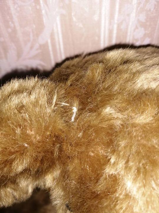 [USED] Teddy bear/Made in England