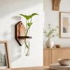 Home Ornaments Hydroponic Planter Shelf Vase Planter Holder Wall Mounted Planter  Living Room