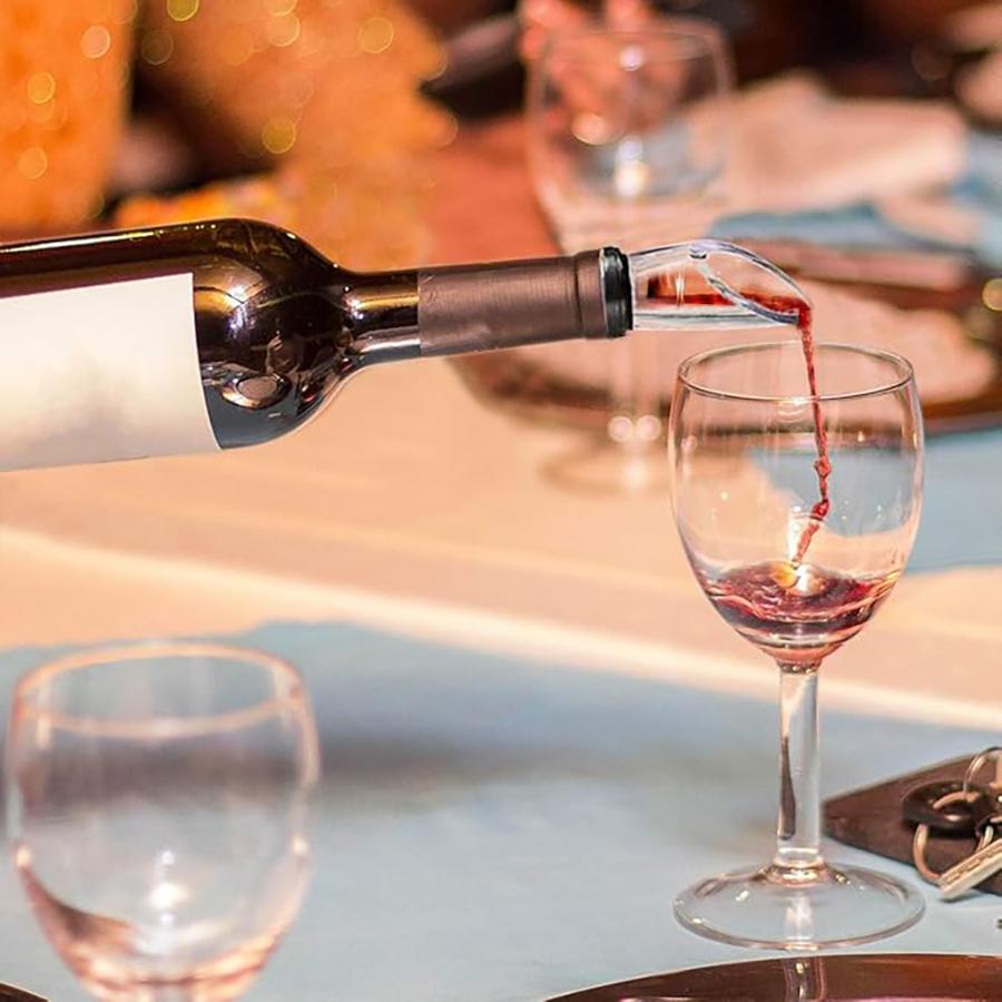 Wine Chiller Stick Stainless Steel Wine Bottle Cooler with Aerator and Pourer Rapid Bottle Chilling Rod for Cooling & Aerating