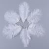DIY Luxury White Ostrich Feather Boa 15-20CM Plume Fluffy Shawl Scarf for Wedding Photography Stage Costume Carnival Party Decor