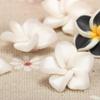 15mm Polymer Clay Plumeria Egg Flower Beads for DIY Bracelet and Necklace Jewelry Making