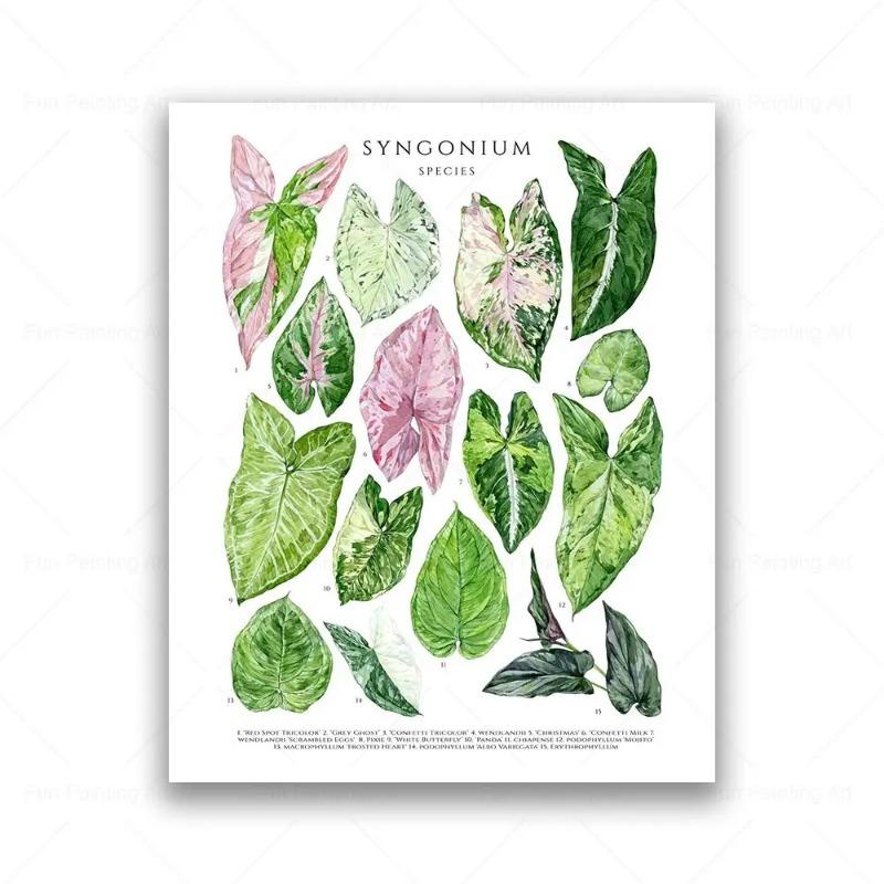 

Ботаническая Комнатное Растение Холст Картина Образовательный Постер Принт Листьев Настенное Искусство Картина Декор Детской Комнаты Подарок для Любителей Растений 21cm×30cm NoFrame