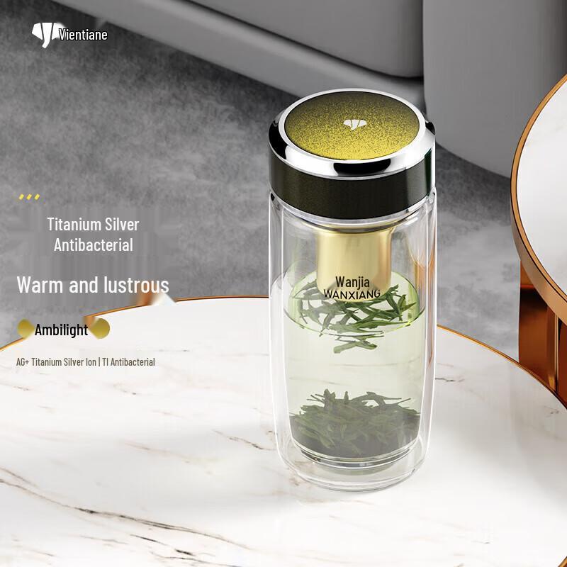 Vansen Silver Ion Antibacterial Double-Wall Glass Tea Infuser Bottle