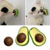 Cat Toy Creative Teeth Rotating Avocado Cleaning Toy Cat Chew Catnip Ball Toy Pet Supplies