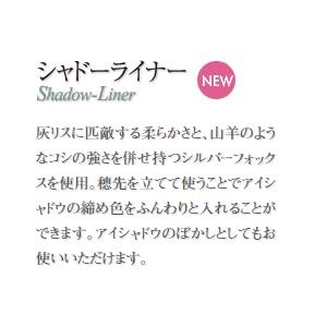 Authentic Kumano Brush Chikuhodo Silver Fox Shadow Liner Brush, Red Shaft, RR-SL5, Hiroshima, Regular Series, Makeup Brush, CHIKUHODO (Red)