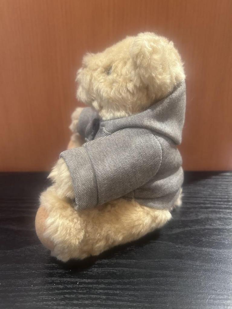 [USED] shaly bear teddy bear detachable hoodie