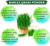 250g Organic Barley Grass Powder Gluten Free Non-GMO Superfood Vegan Organic