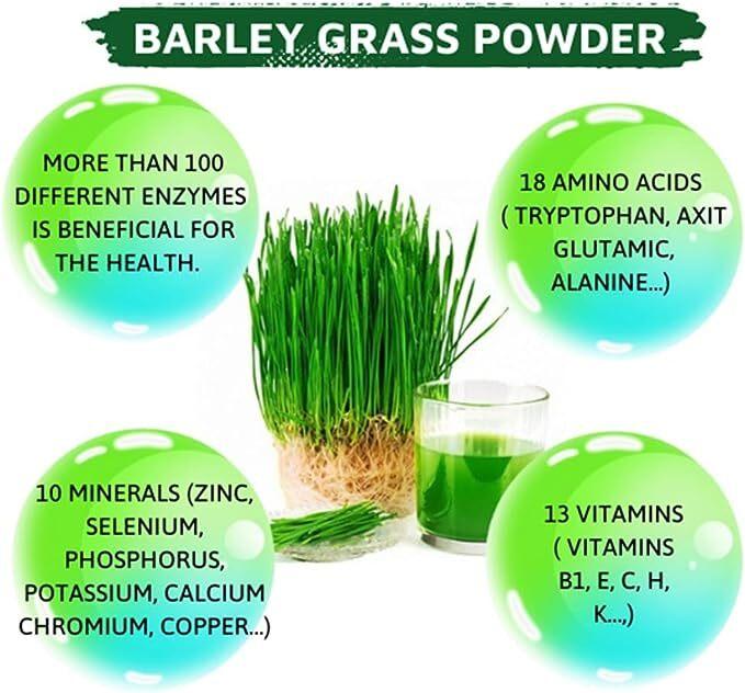 250g Organic Barley Grass Powder Gluten Free Non-GMO Superfood Vegan Organic