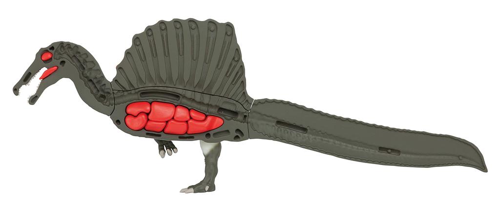 Spinosaurus Reconstruction Puzzle
