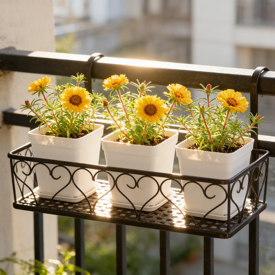 10/20pcs 7cm White Plastic Square Plant Pots with Drainage Trays - Ideal for Succulents, Office Desktop Gardening Balcony Decor