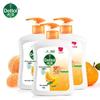 Antibacterial Hand Wash (Pine Fresh, 3x450g)