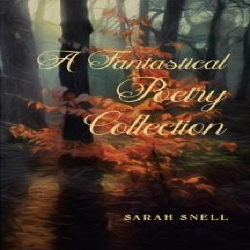 A Fantastical Poetry Collection by Sarah Snell Paperback Book 9781398498662