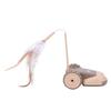 Interactive Cat Teaser Toy Remote Control Electric Automatic Interactive Kitten Teaser Toy for Home