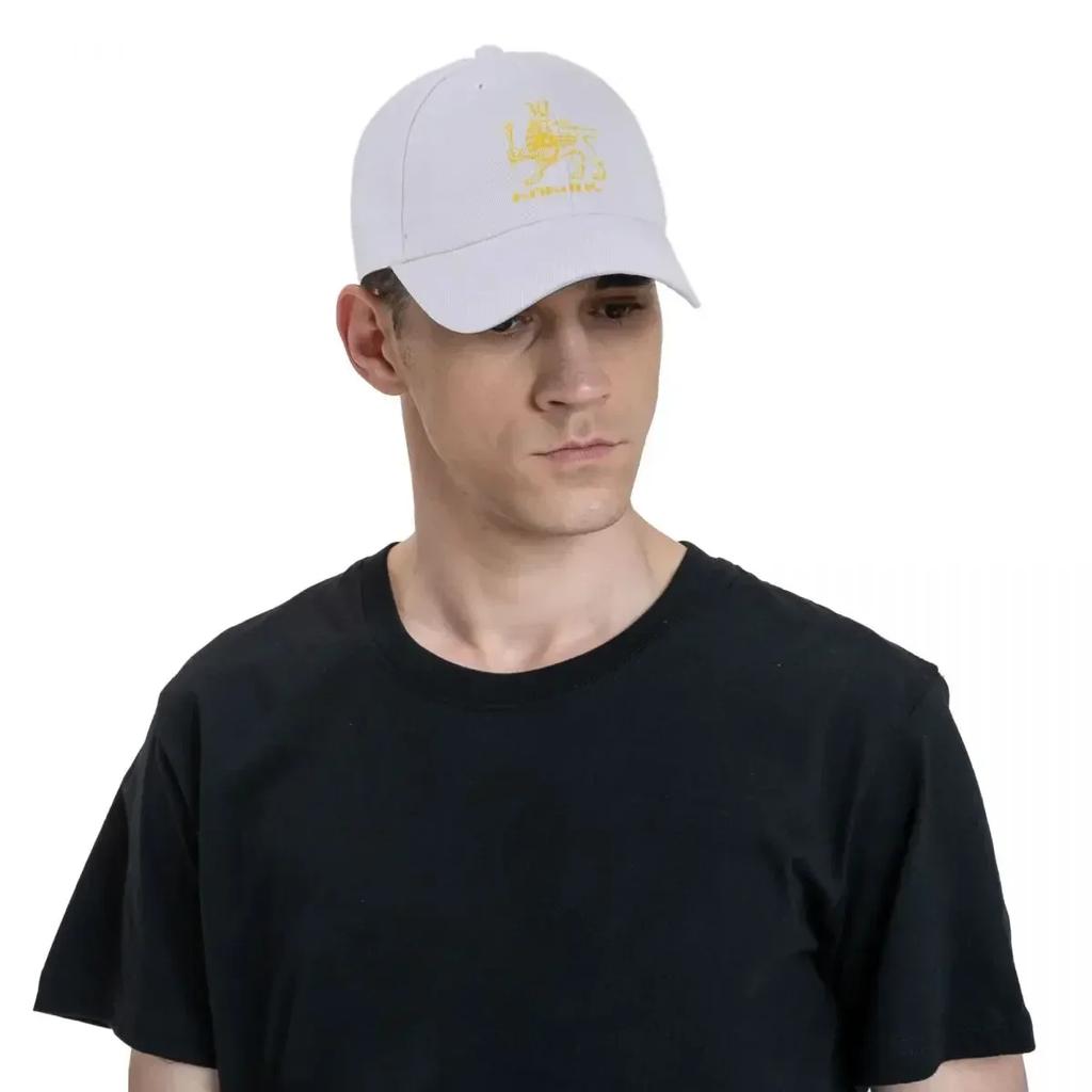 Yerevan Lion Armenia Logo Baseball Cap Hard Hat Horse Hat New In The Hat Golf Mens Tennis Women's