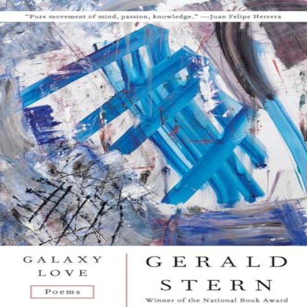 Galaxy Love by Gerald Stern Paperback Book 9780393357516